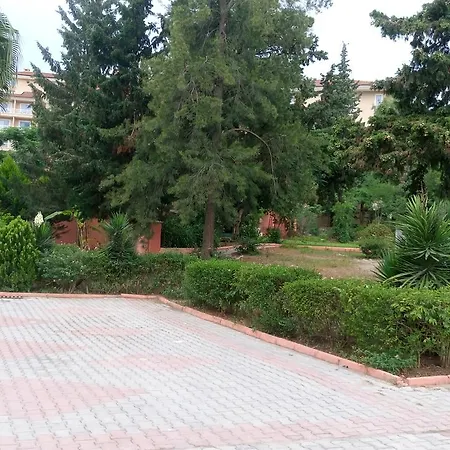 Beldiana 4*